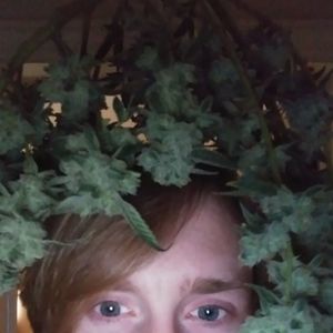 Meet your Posher, Ja